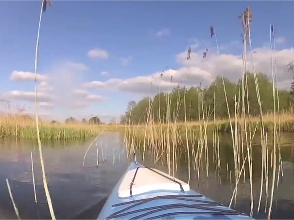 Spływ kajakowy rzeką Czarna Hańcza w okolicy jeziora Wigry na Suwalszczyźnie