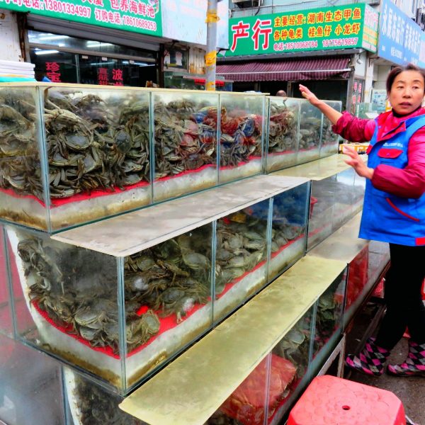 Chiny targ rybny w Pekinie