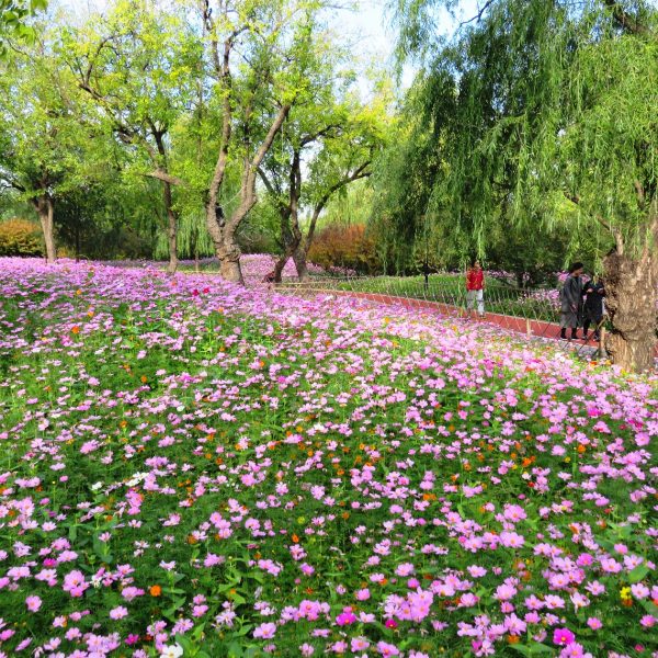 Parki i natura w Pekinie